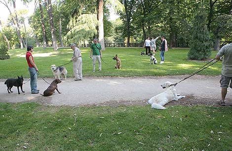 Perros, y sus dueños, en el Parque de Retiro de Madrid. | O. Monzón