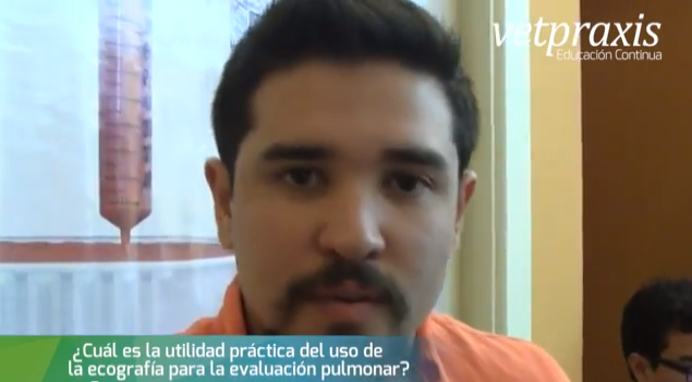 Del plástico del miembro y los huevos
