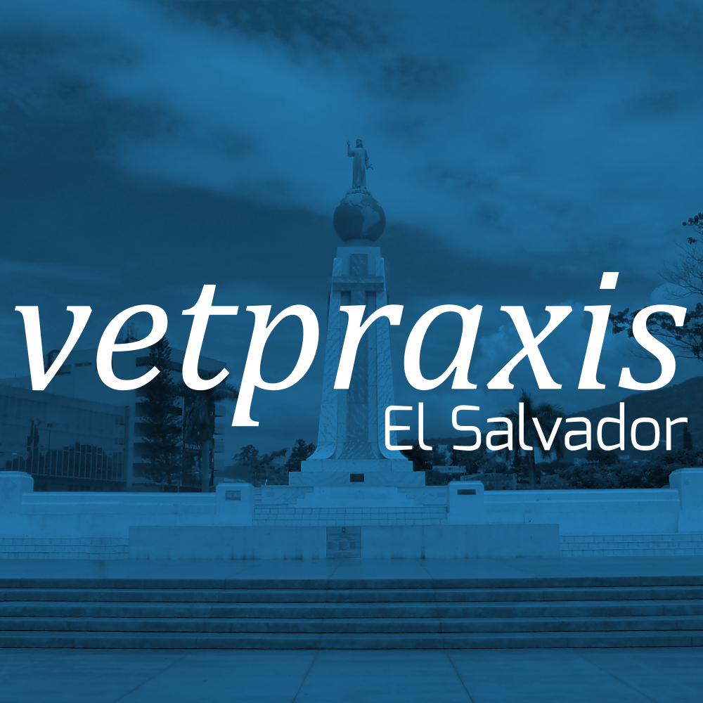 valtrex side effects during pregnancy valtrex side effects during pregnancy