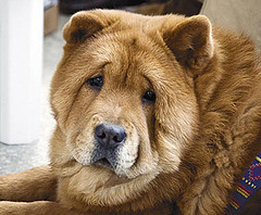 2233453130_ffda078f48_m