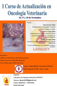 CursoOncologia