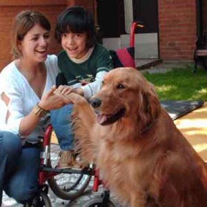 Las personas que tienen mascotas gozan de una mejor salud.