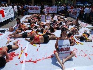 Activistas con banderillas en la espalda protestaron en Lima