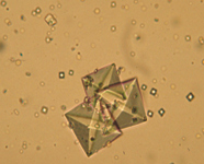 Slide8