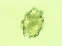 Slide9