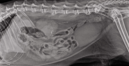 radiology1110_fig1