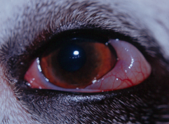 Captura de pantalla 2013-06-07 a la(s) 09.54.02