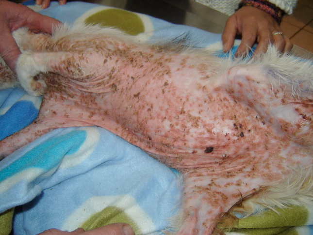 Captura de pantalla 2013-08-16 a la(s) 18.13.36