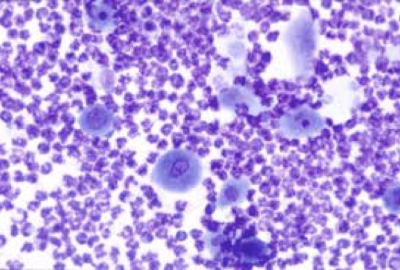 Captura de pantalla 2013-08-16 a la(s) 18.16.13