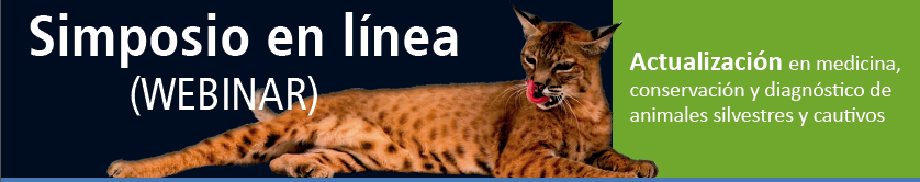 Captura de pantalla 2013-08-28 a las 15.09.17