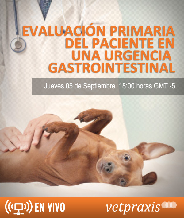 gastro_flyer-1