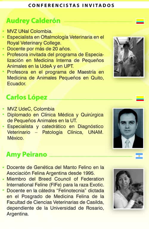 seminario gatos vetpraxis 2