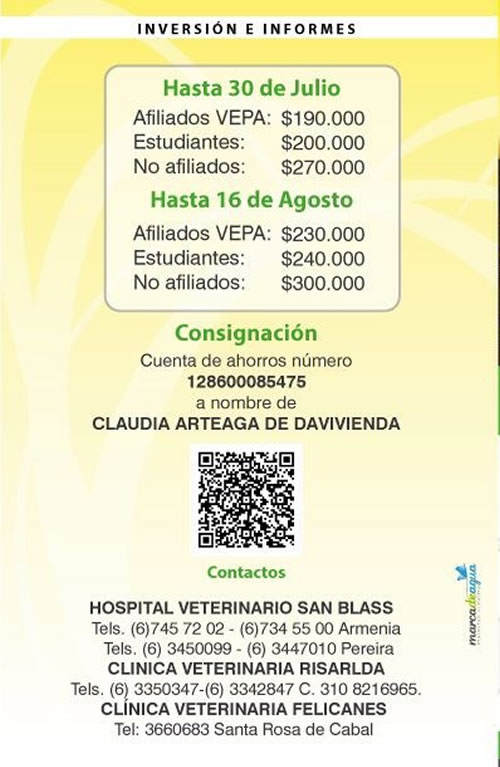 seminario gatos vetpraxis 4