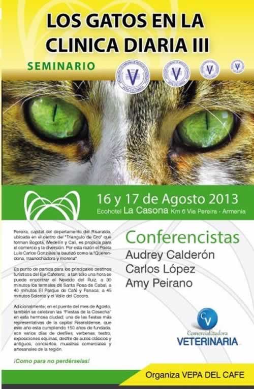 seminario gatos vetpraxis