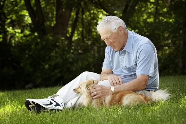 Perros con personas mayores
