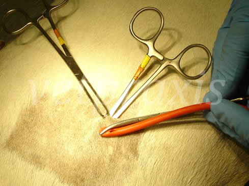 El 2º mosquito con el tubo firmemente sujeto, lo debemos deslizar sobre el 1º mosquito.