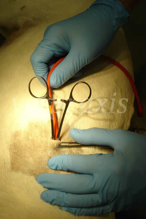 16- mosquito 2 abierto para deslizar tubo