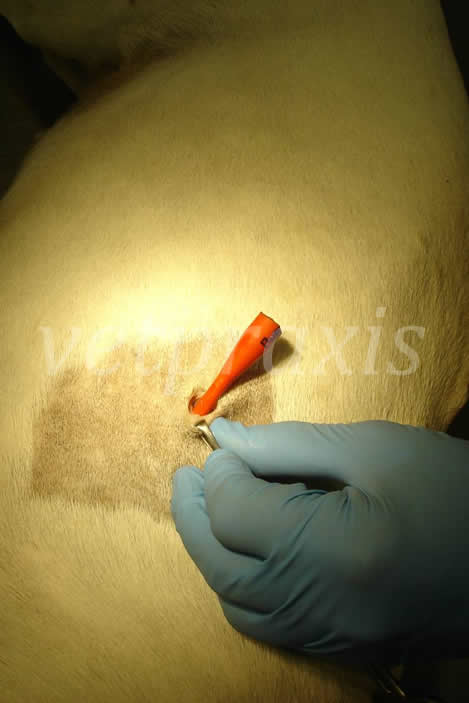 18- tubo en torax sin mosquitos