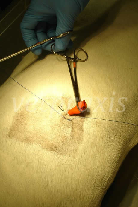 21- inicio de sutura de sandalia romana