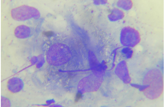 FIG 3