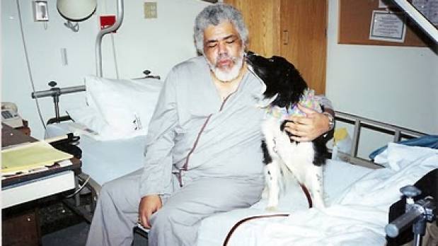 perros-huelen-cancer-619x348