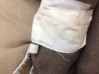 Compartiendo ideas: conservando catéteres intravenosos II