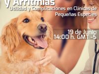 Pregúntale al Experto: Electrocardiogramas y Arritmias: Utilidad y Complicaciones en Clínicas de Pequeñas Especies