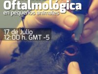 Evaluación Oftalmológica en pequeñas especies