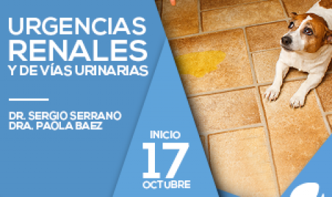 Urgencias Renales y de vías urinarias
