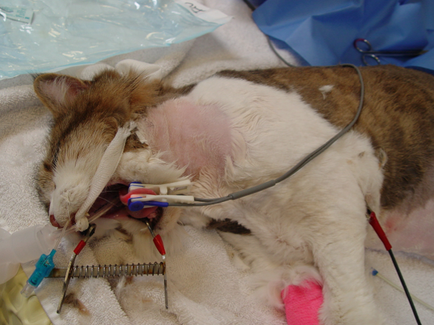 Captura de pantalla 2014-09-11 a la(s) 10.31.43