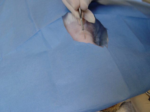 Captura de pantalla 2014-09-11 a la(s) 10.40.01