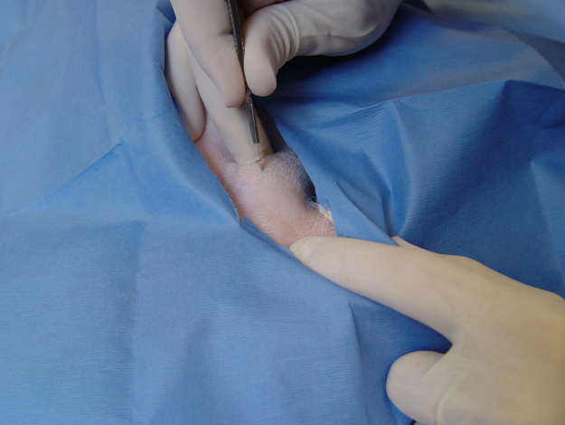 Captura de pantalla 2014-09-11 a la(s) 10.41.54