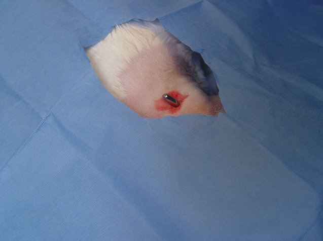 Captura de pantalla 2014-09-11 a la(s) 10.43.08