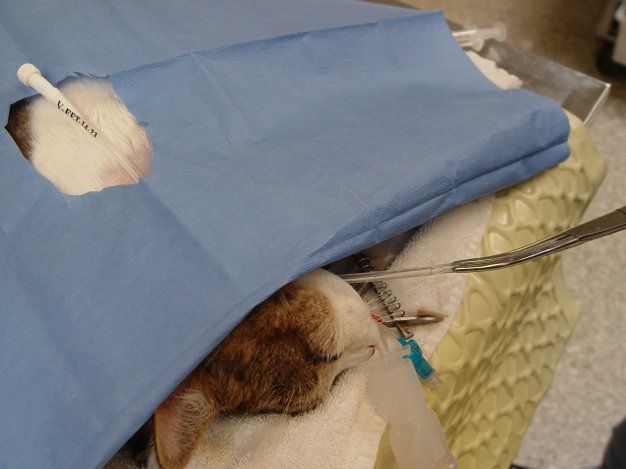 Captura de pantalla 2014-09-11 a la(s) 10.45.49