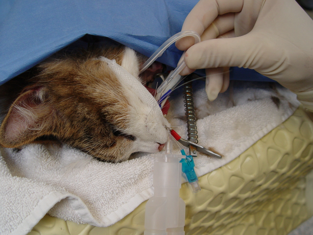 Captura de pantalla 2014-09-11 a la(s) 10.47.42