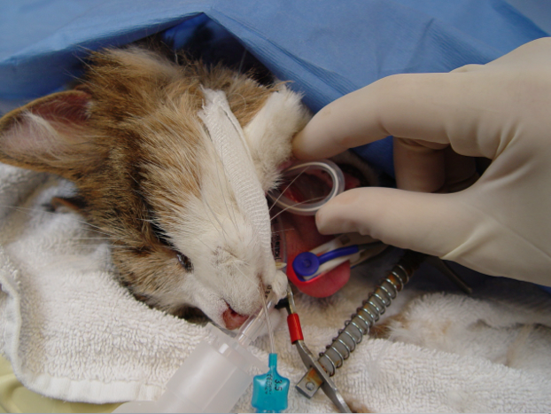 Captura de pantalla 2014-09-11 a la(s) 10.51.37