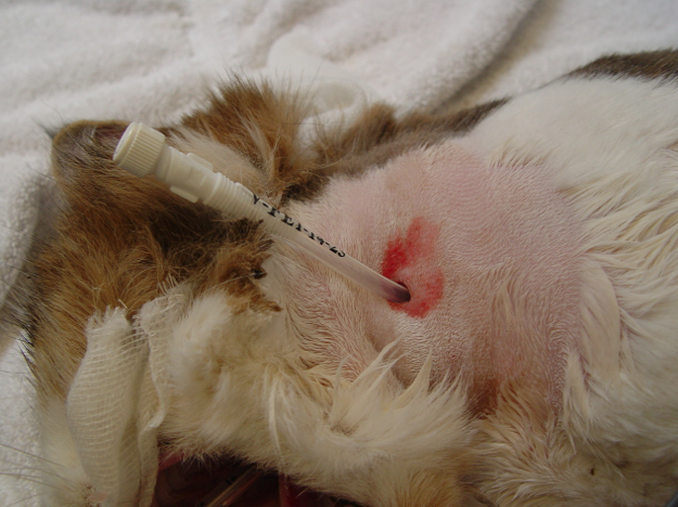 Captura de pantalla 2014-09-11 a la(s) 10.55.45