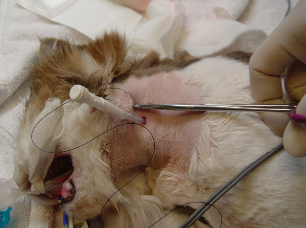 Captura de pantalla 2014-09-11 a la(s) 11.00.01