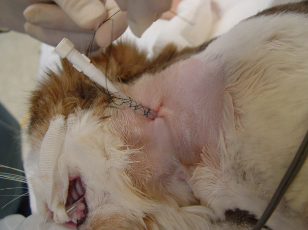 Captura de pantalla 2014-09-11 a la(s) 11.01.21