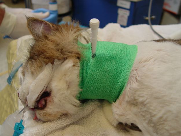 Captura de pantalla 2014-09-11 a la(s) 11.03.11