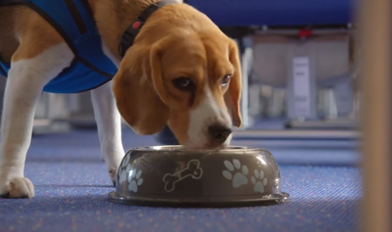 Captura de pantalla 2014-09-26 a la(s) 17.50.17