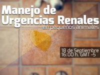 Manejo de Urgencias renales en pequeños animales