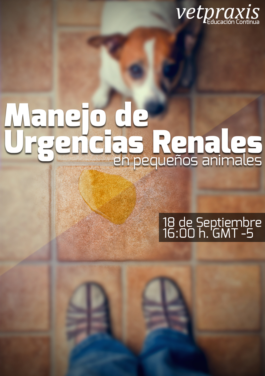 FLYER hangout urg renales