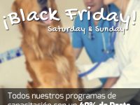 Black Friday, Saturday & Sunday | -40%