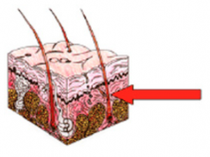 Captura de pantalla 2014-11-18 a las 16.39.30