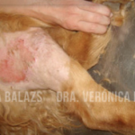 Captura de pantalla 2014-11-18 a las 17.44.36