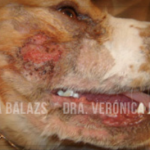 Captura de pantalla 2014-11-18 a las 17.46.05