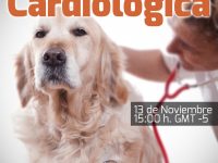 Pregúntale al Experto: Pruebas de exploración cardiológica
