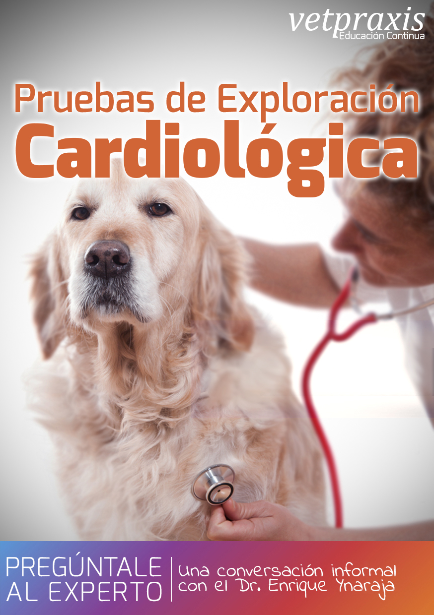 FLYER-hangout-auscultacion-JPG copia