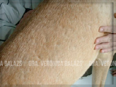 Vista más cercana de foliculitis del perro de pelo corto (alopecia apolillada)